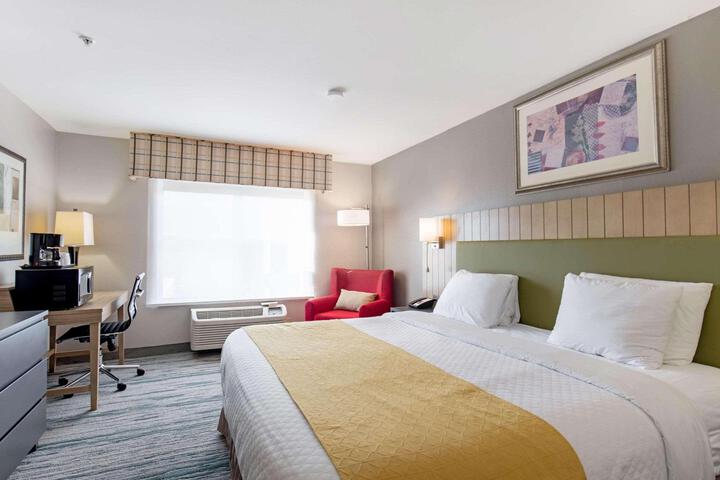Standard | King Bed (3 of 14)