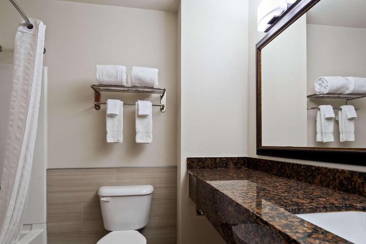 1 King Accessible Communication Assistance Roll in Shower Continental Breakfast (2 of 11)
