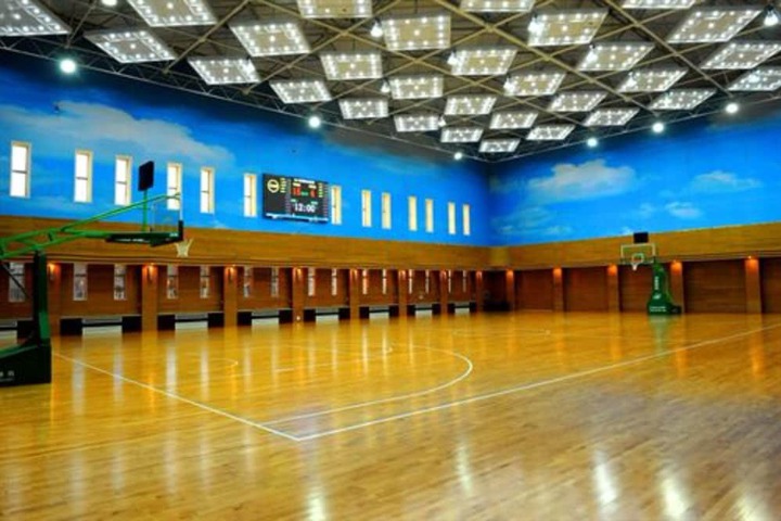 Basketball court