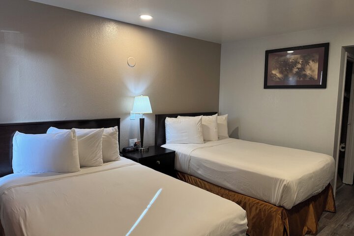 1 Double Bed Mobility Accessible Bathtub with Grab Bars (3 of 7)