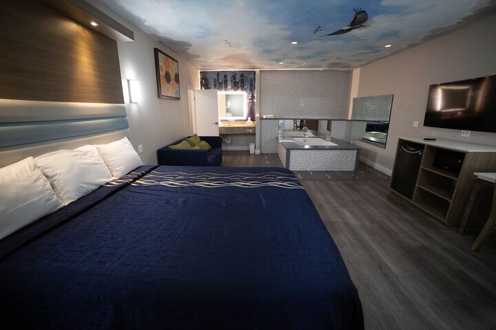 Deluxe King Bed (6 of 50)