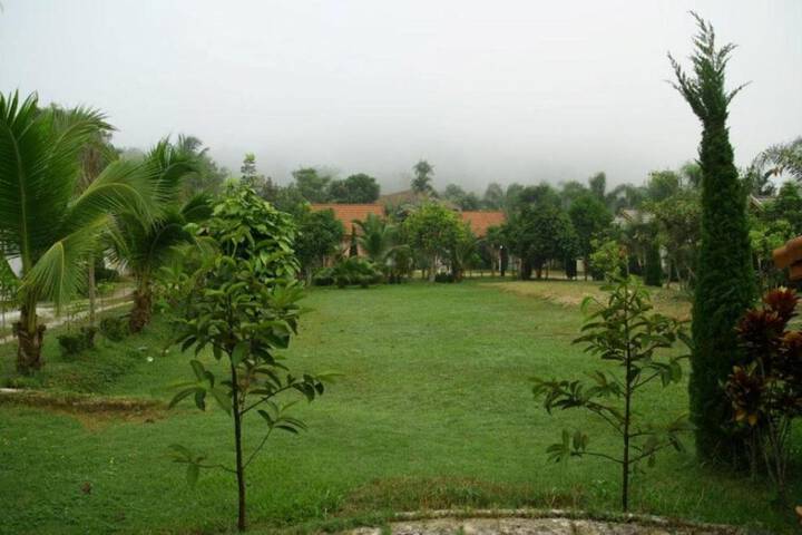 Property Grounds 24 of 29