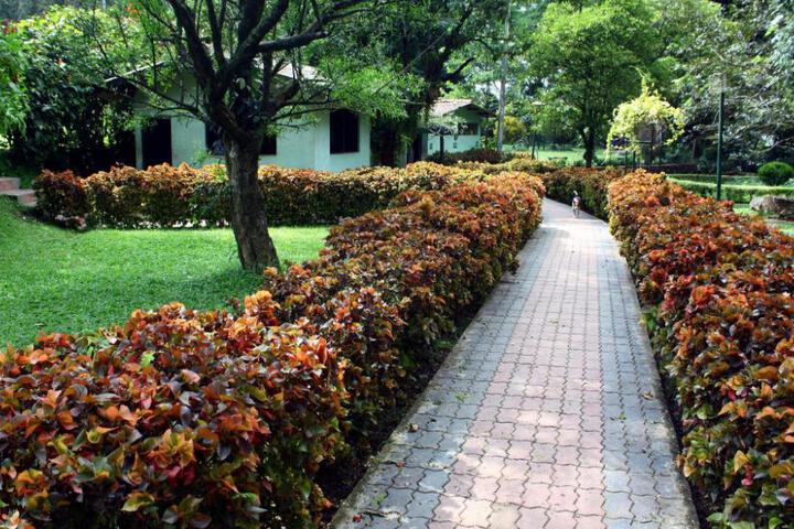 General 41 of 50
