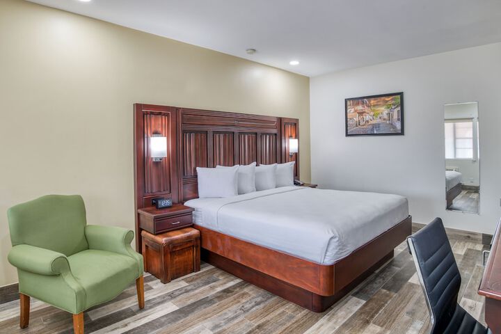 1 King Bed Accessible (5 of 25)