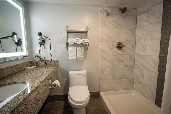 1 King Bed Pet Friendly Accessible (15 of 90)