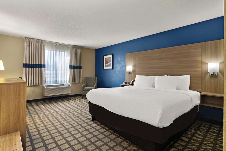 1 King Bed (9 of 12)