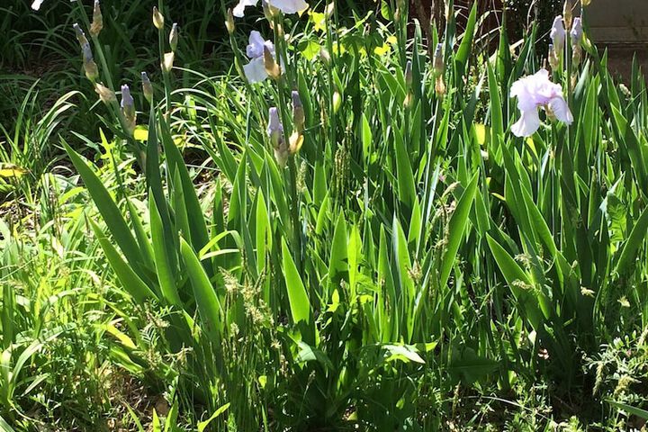 Property Grounds 65 of 75