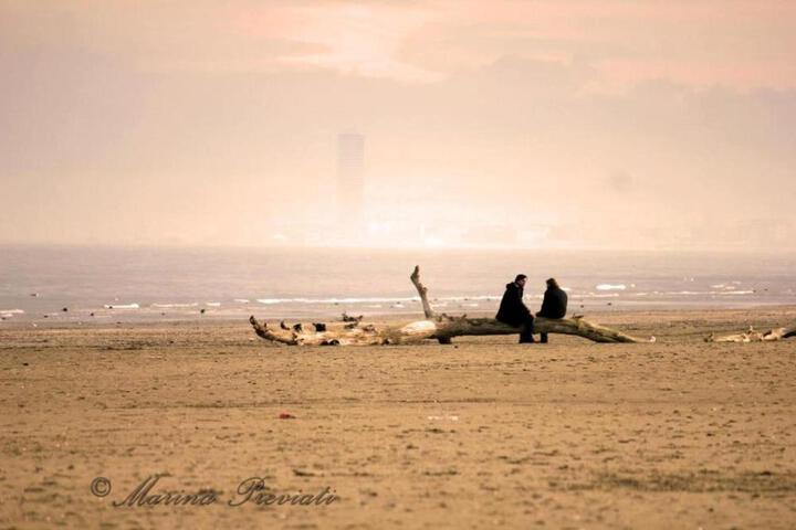 General 23 of 42