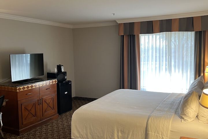 Standard | King Bed (5 of 27)