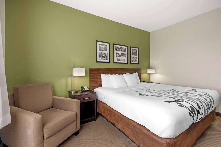 1 King Bed (36 of 38)