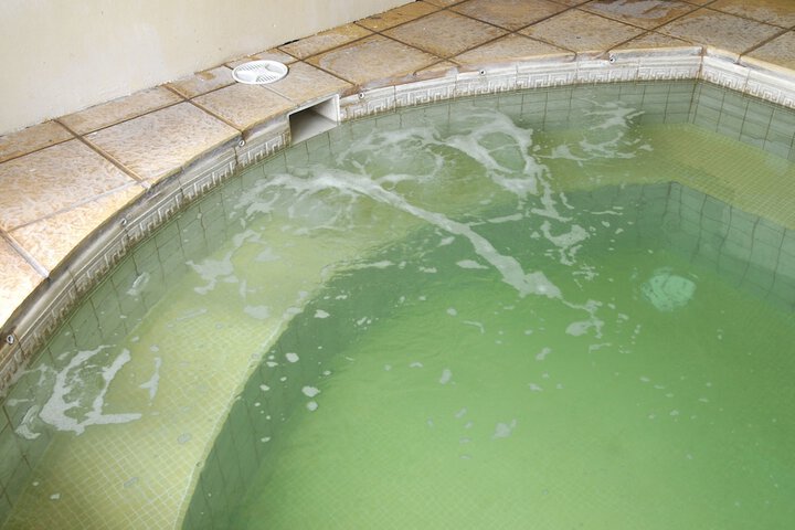 Pool 24 of 58