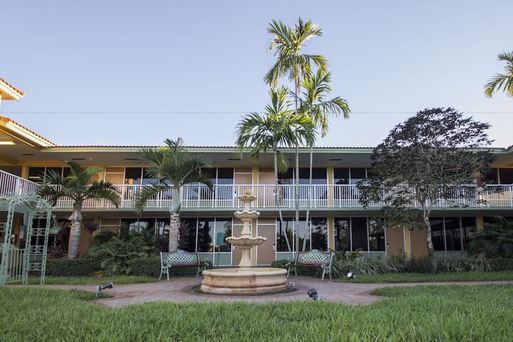 Garden view