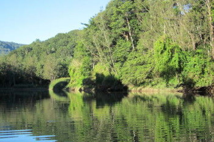 Property Grounds 44 of 45