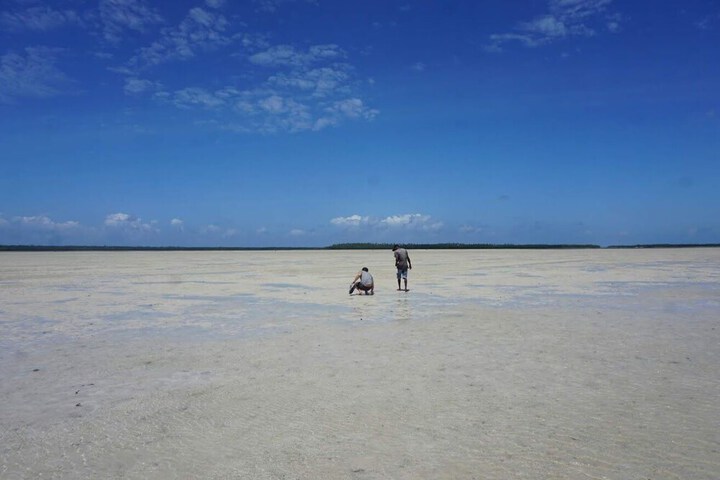 Beach 52 of 59