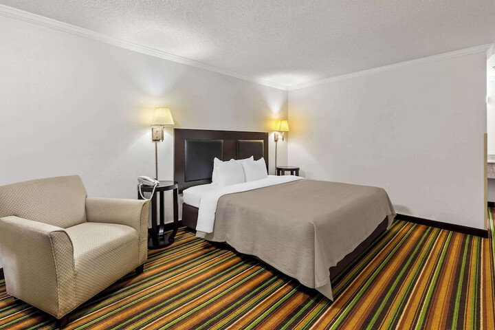 1 King Bed (6 of 15)