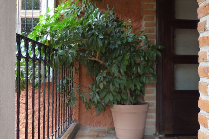 Terrace/Patio 28 of 85
