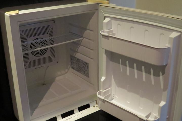 Mini-refrigerator