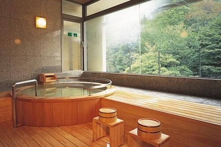 Wellness Treatments
