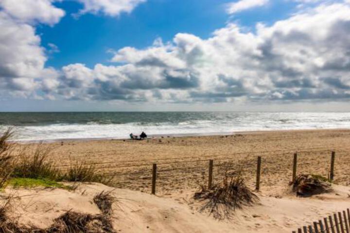 Image of Tradewinds