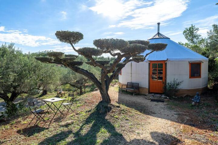 Exterior of Yurta Mongola Delta del Ebro