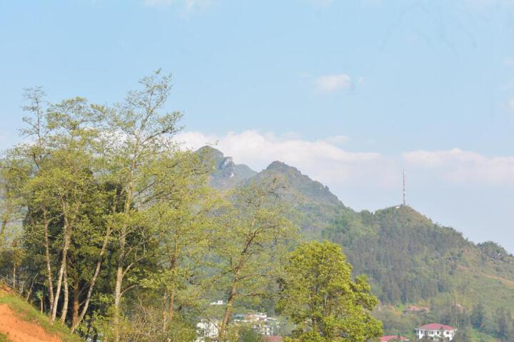 Otis Sapa Hotel