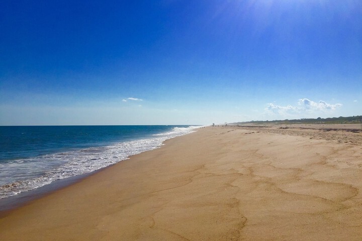 Beach 139 of 152