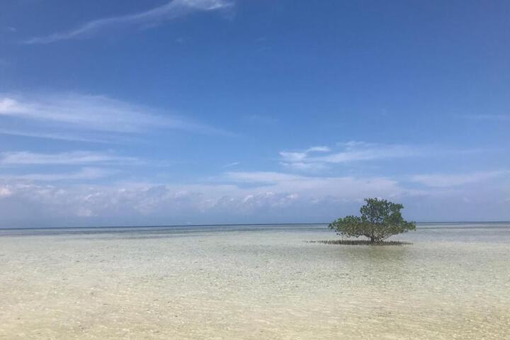 Beach 14 of 14