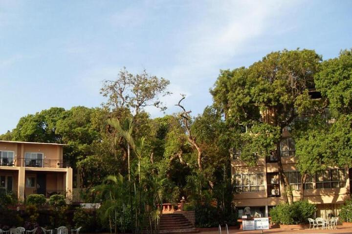 General 3 of 6