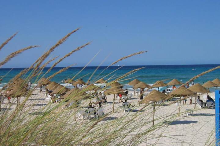Beach 54 of 63