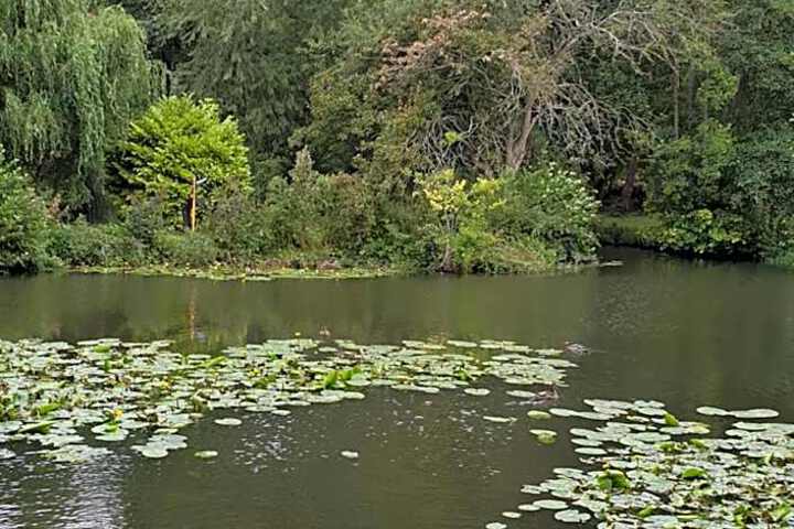 Photo 24