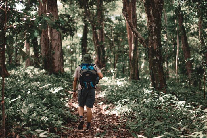 Hiking