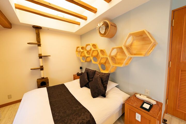 Room 73 of 239