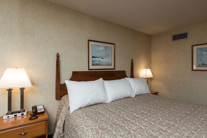 Deluxe King Bed Pet Friendly (9 of 9)
