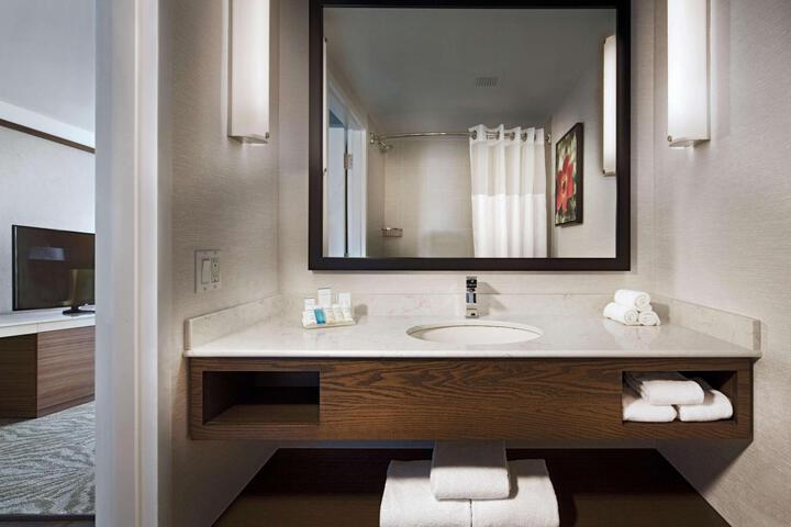 1 King Bed Accessible Bathtub (1 of 22)