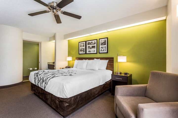 Standard | King Bed (1 of 9)