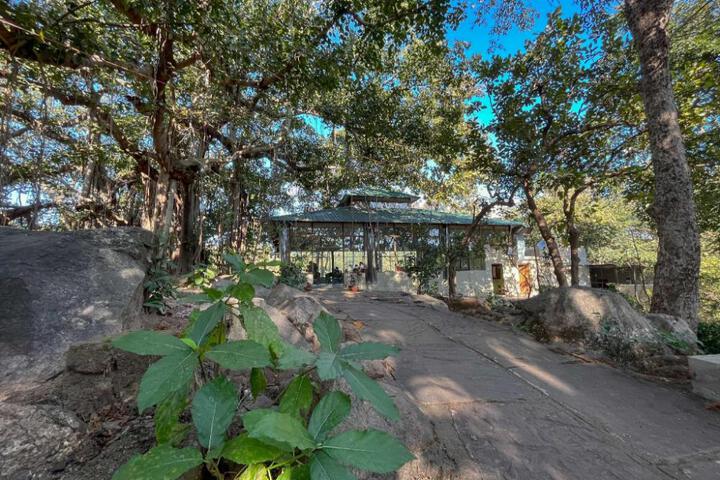 Bison Retreat - Pench