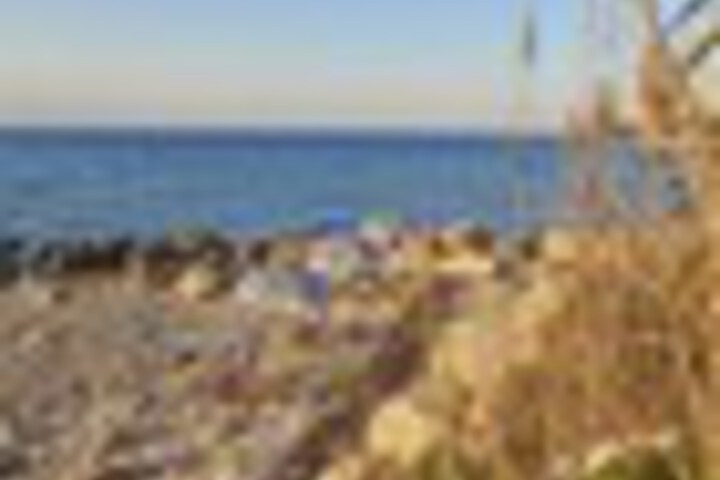 Beach 101 of 129