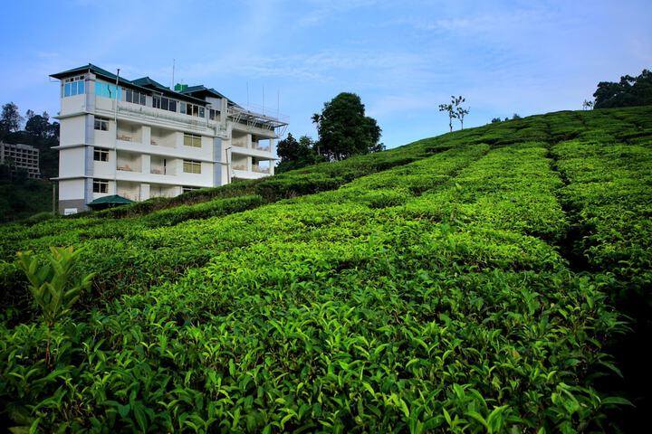 Monsoon Grande