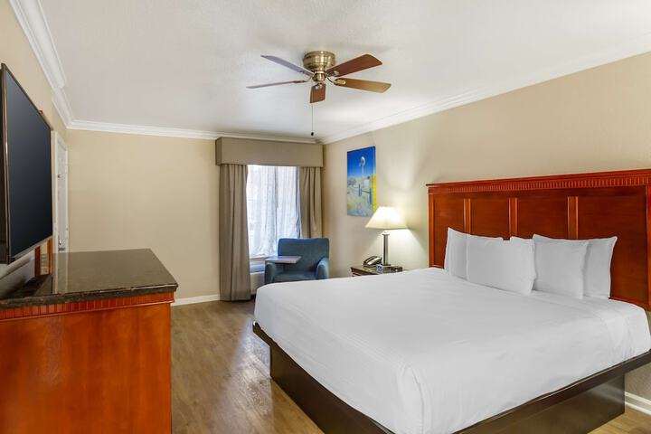 1 King Bed (6 of 18)