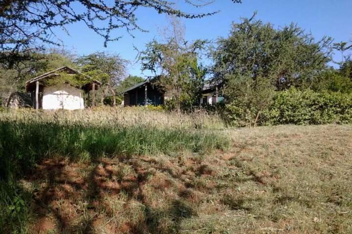 Property Grounds 27 of 47