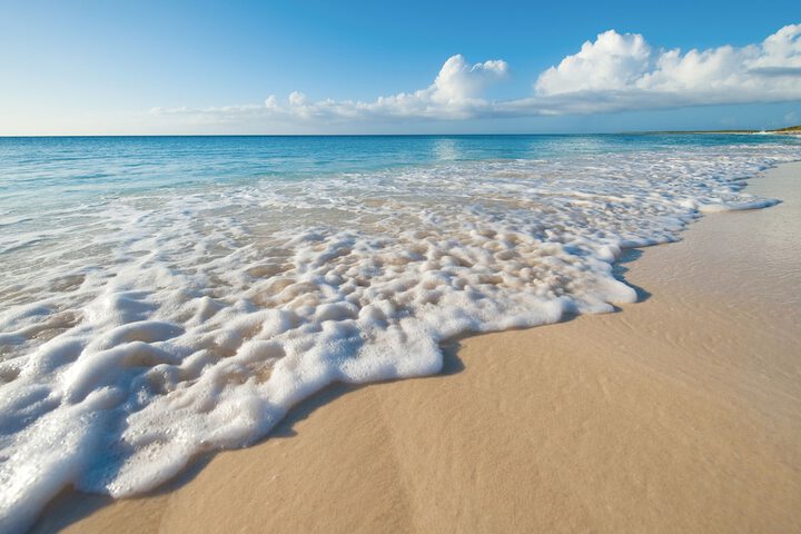 Beach 253 of 299
