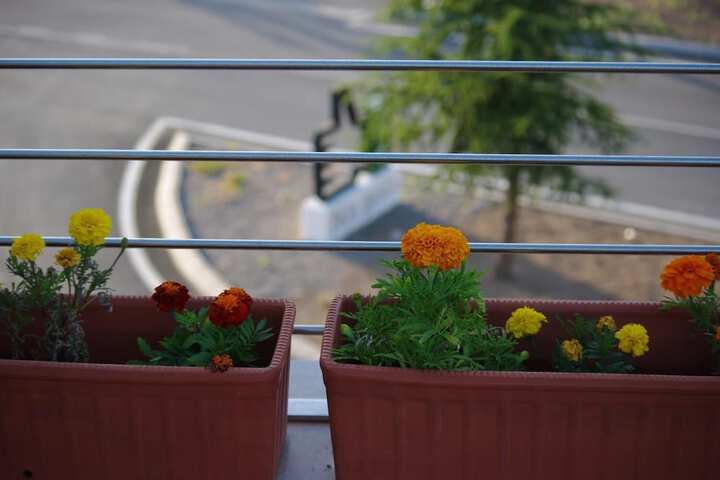 Terrace/Patio 18 of 33