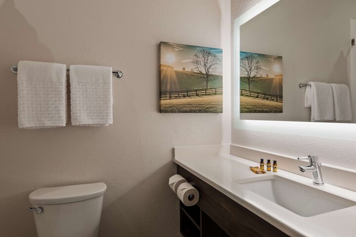 1 King Bed Flat Screen Television Work Desk Refrigerator High Speed Internet Accessible (3 of 17)