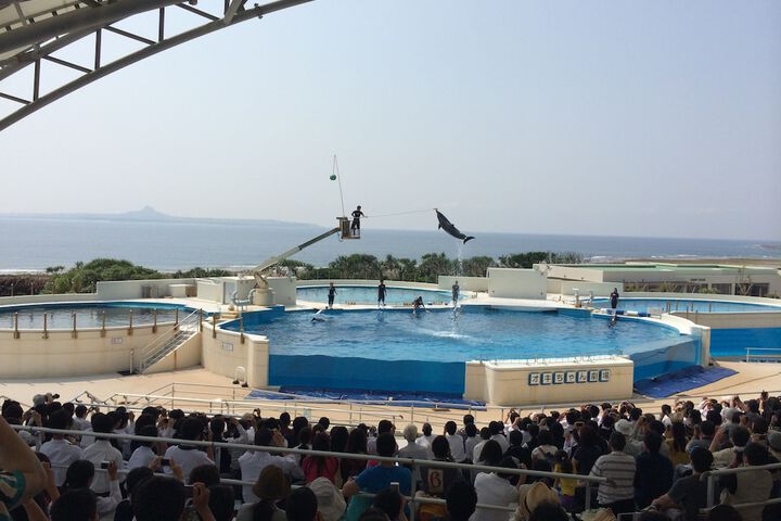 Hotel Pool
