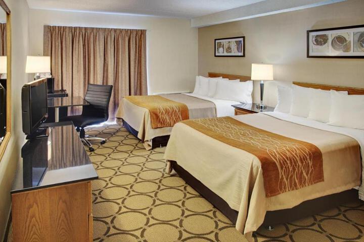 2 Queen Beds (1 of 13)