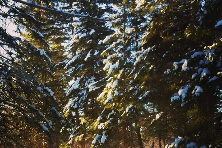 Property Grounds 37 of 44