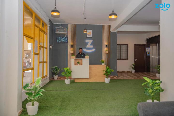 Z Express Davinci