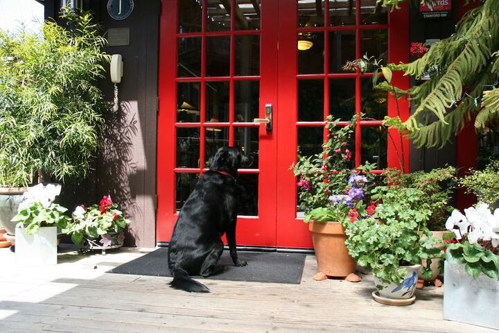 Pet Friendly 45 of 87