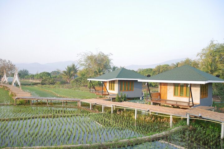 Nok Chan Mee Na