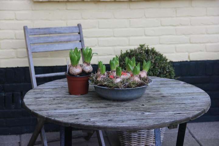 Terrace/Patio 17 of 26